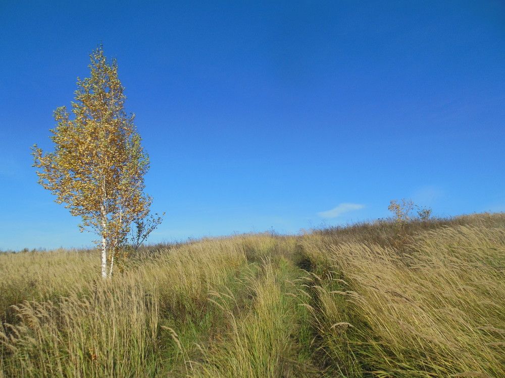 Photograph by Светлана Батурова