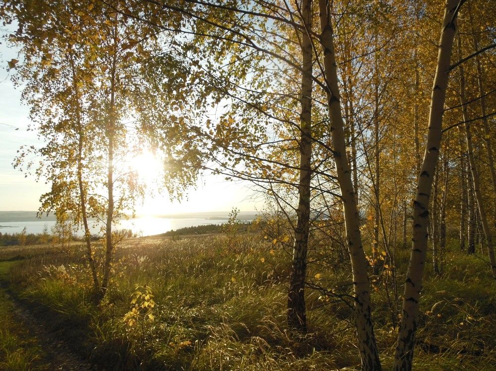 Photograph by Светлана Батурова