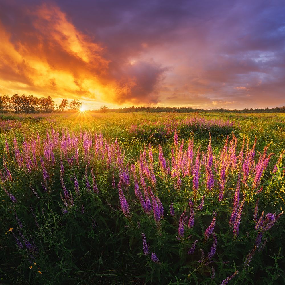 Photograph by Чаланов Иван