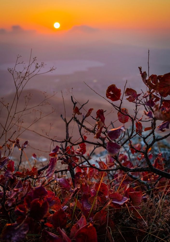 Photograph by Александр Шинкаревский