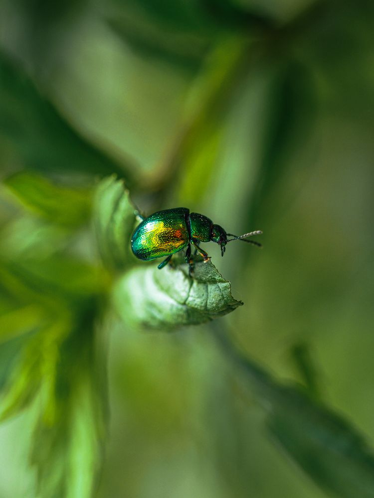 Photograph by Лейла Прощина