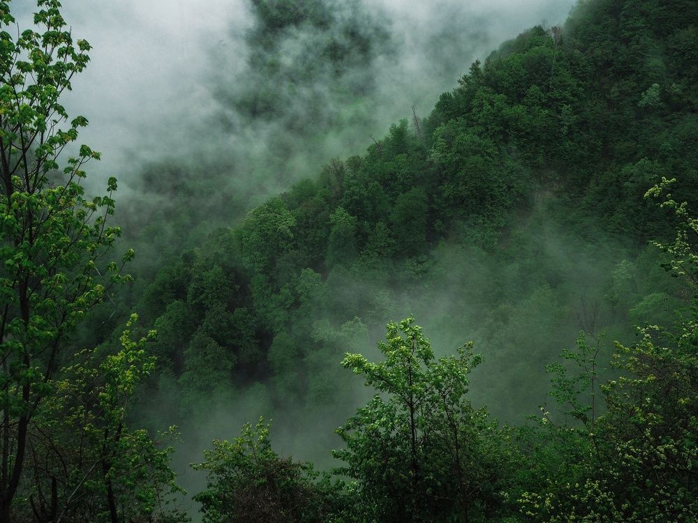 Photograph by Лейла Прощина