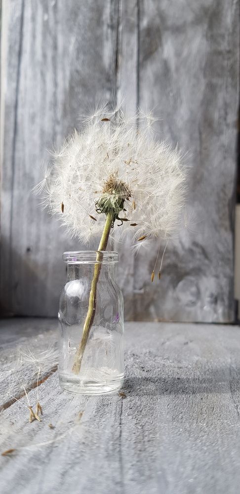 Photograph by Оксана Крылович