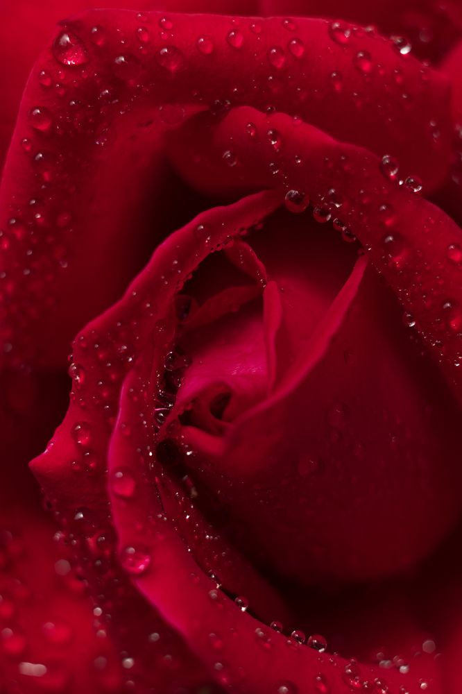 Photograph by Анастасия Галенко