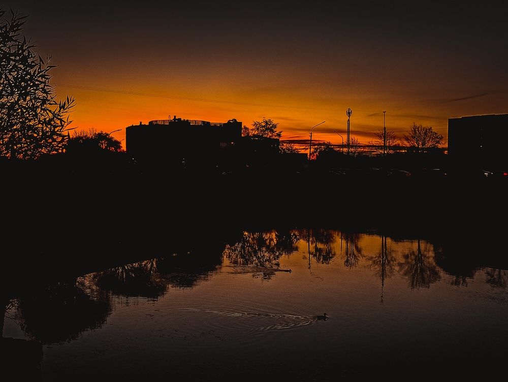 Фотография автора Ксения Вабищевич