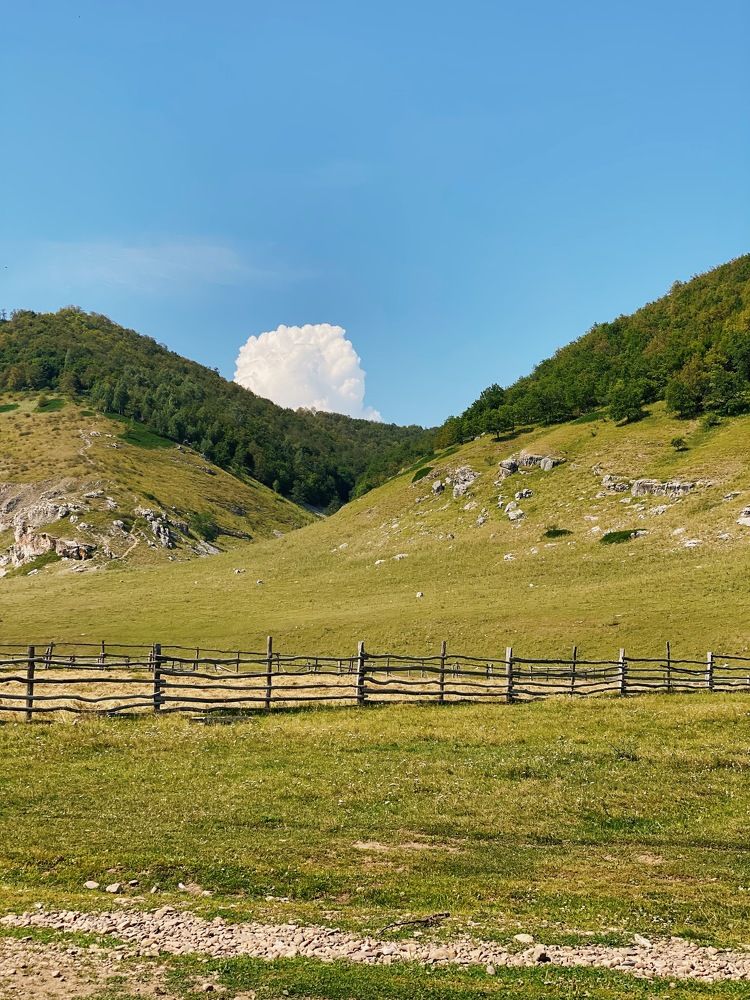 Фотография автора Emiliya