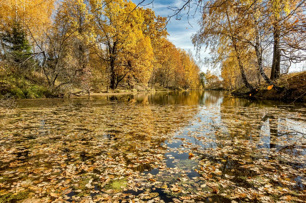 Photograph by Алексей Окунеев