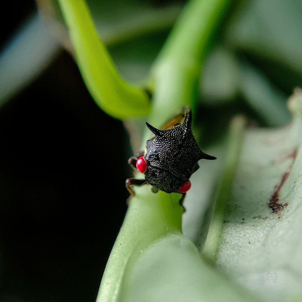 Photograph by Nikhila R