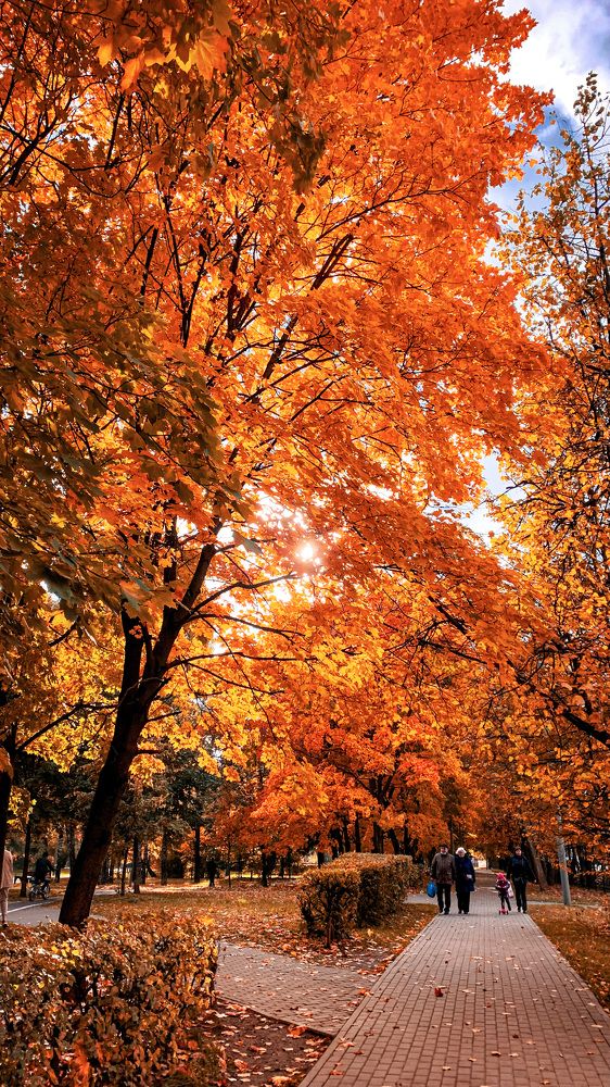 Photograph by Nakiato