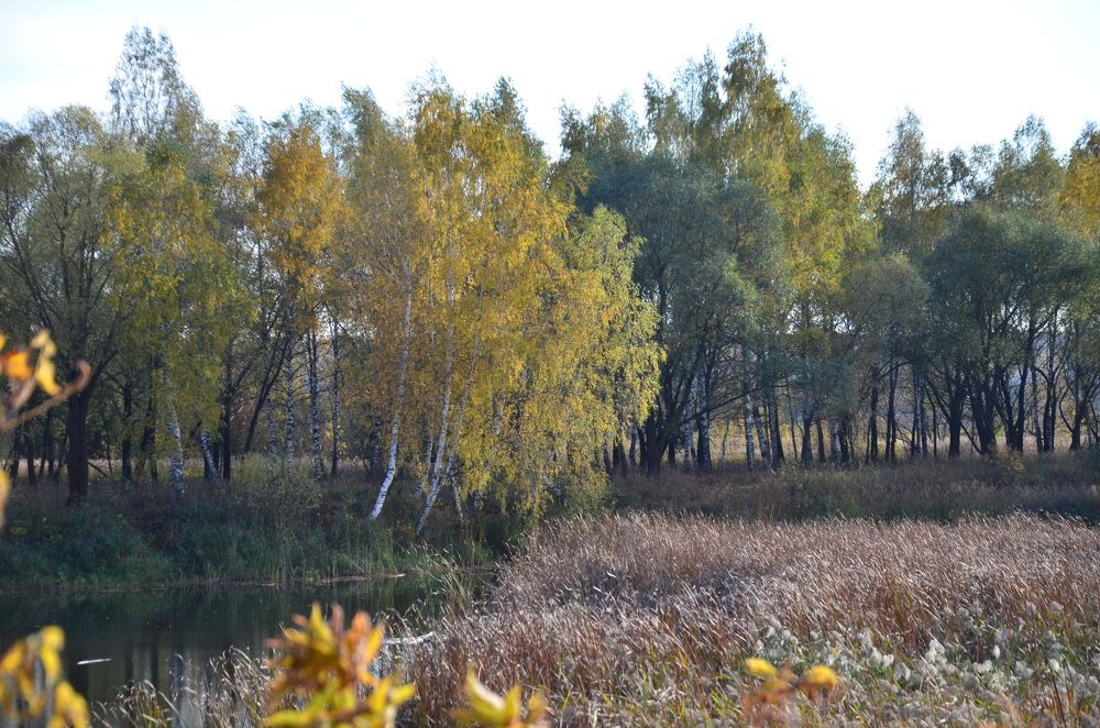 Photograph by Константин