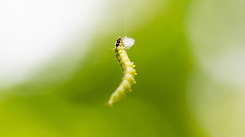 Photograph by Константин Власов