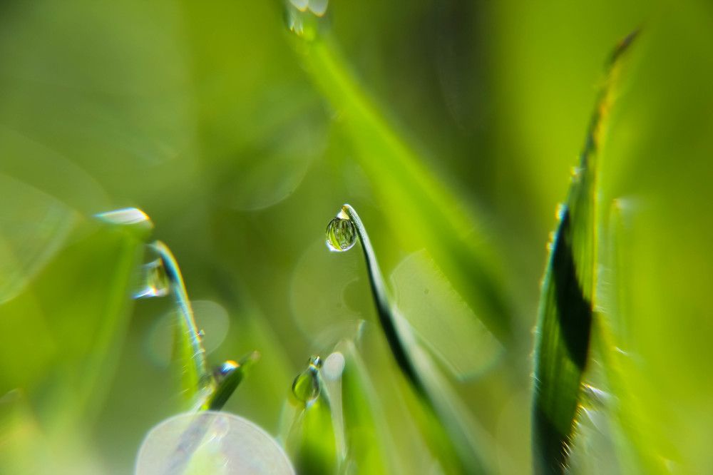 Photograph by Наталья Сапрыкина