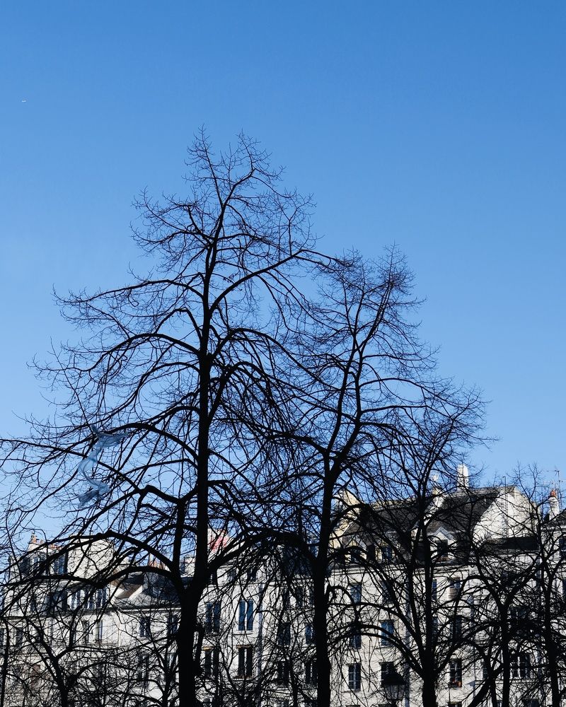 Фотография автора Emiliya