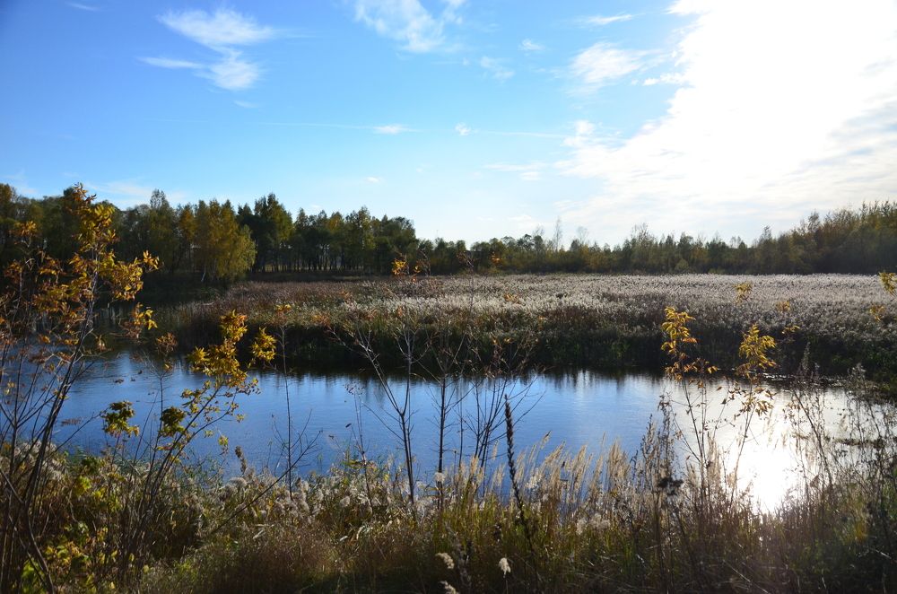 Photograph by Константин