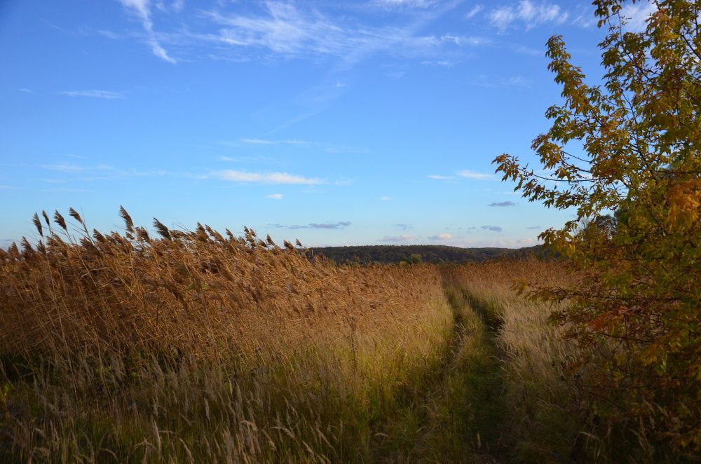 Photograph by Константин