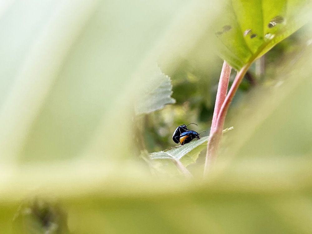 Photograph by Evgenia Barinova