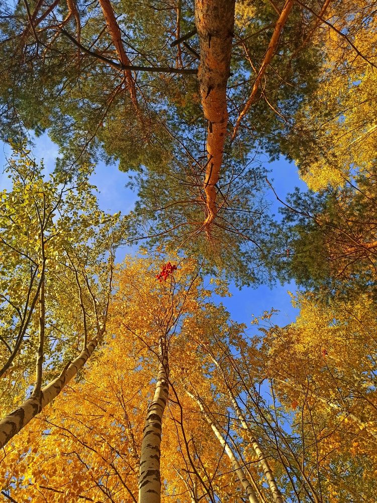 Photograph by Олеся Зеленщикова