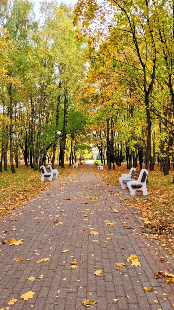 Фотография автора Александра Карпикова