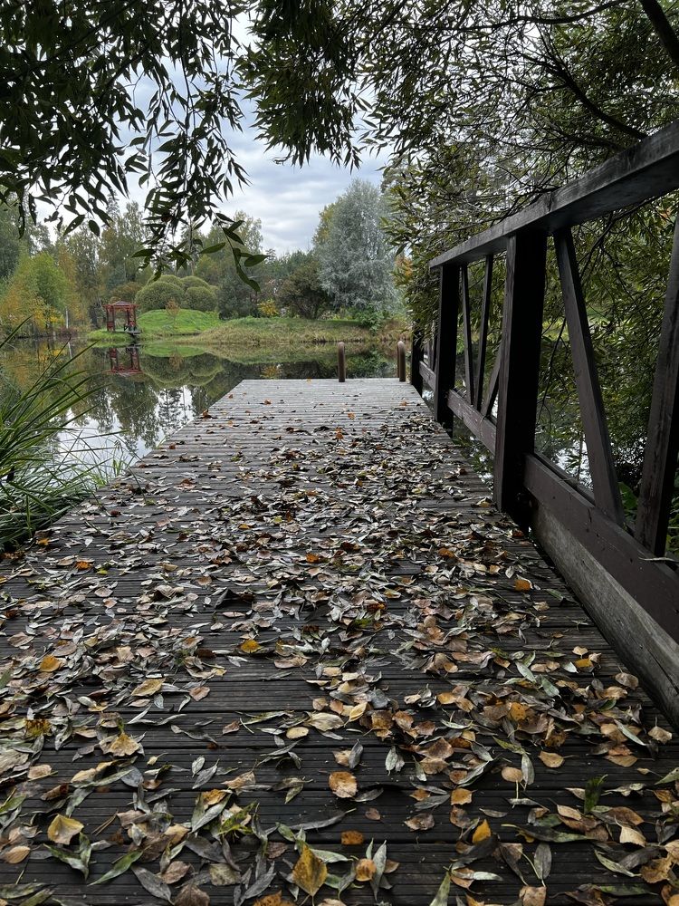 «Осень в Ленинградской области.»