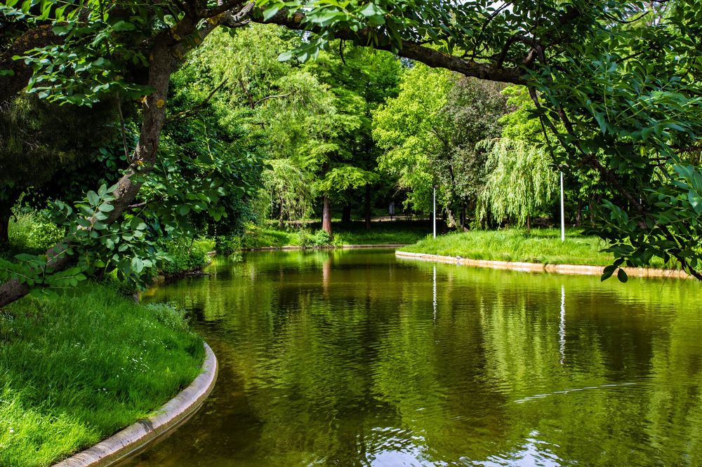 Photograph by marianna chechik