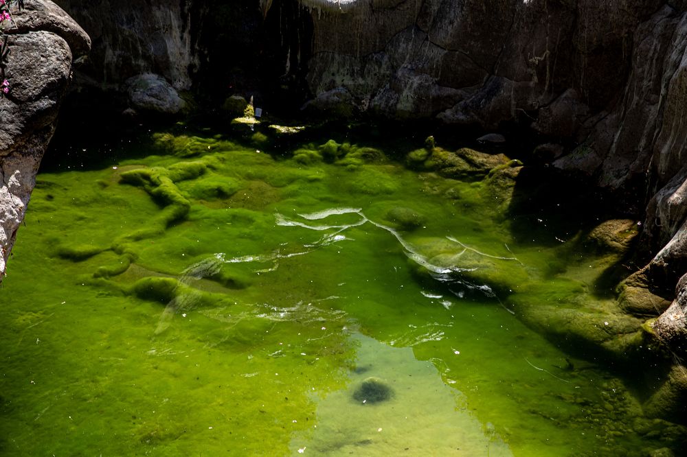 Photograph by marianna chechik