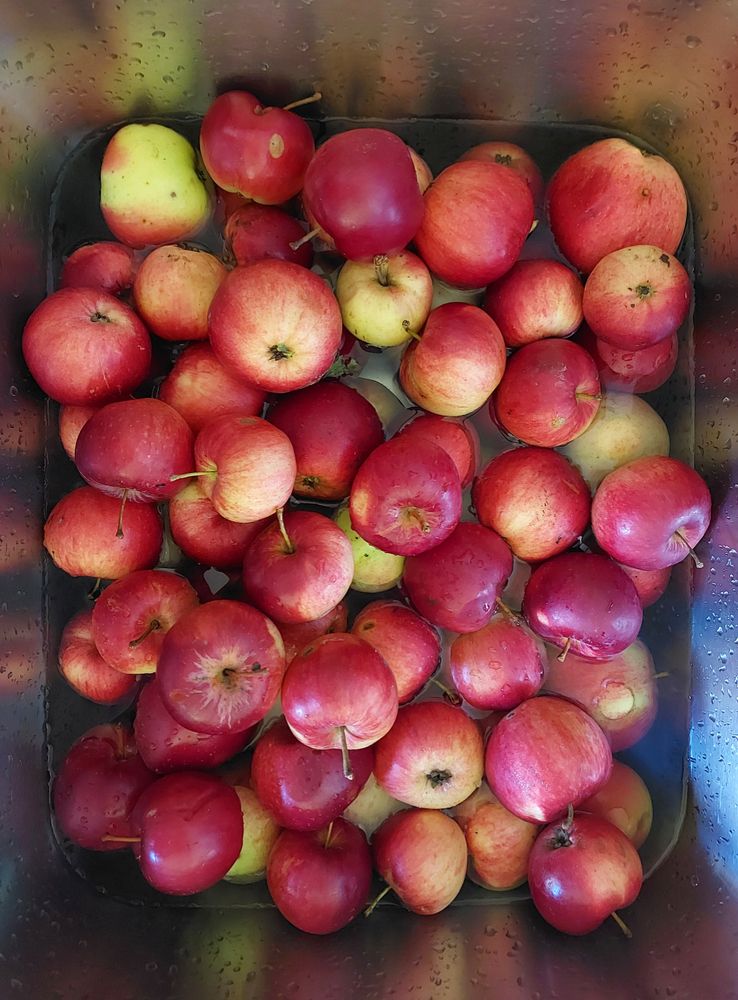 Photograph by Nora Cheprasova