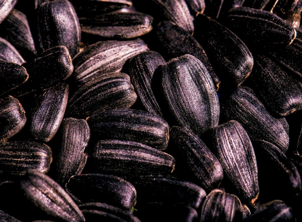 Фотография автора Альбина Хвастунова