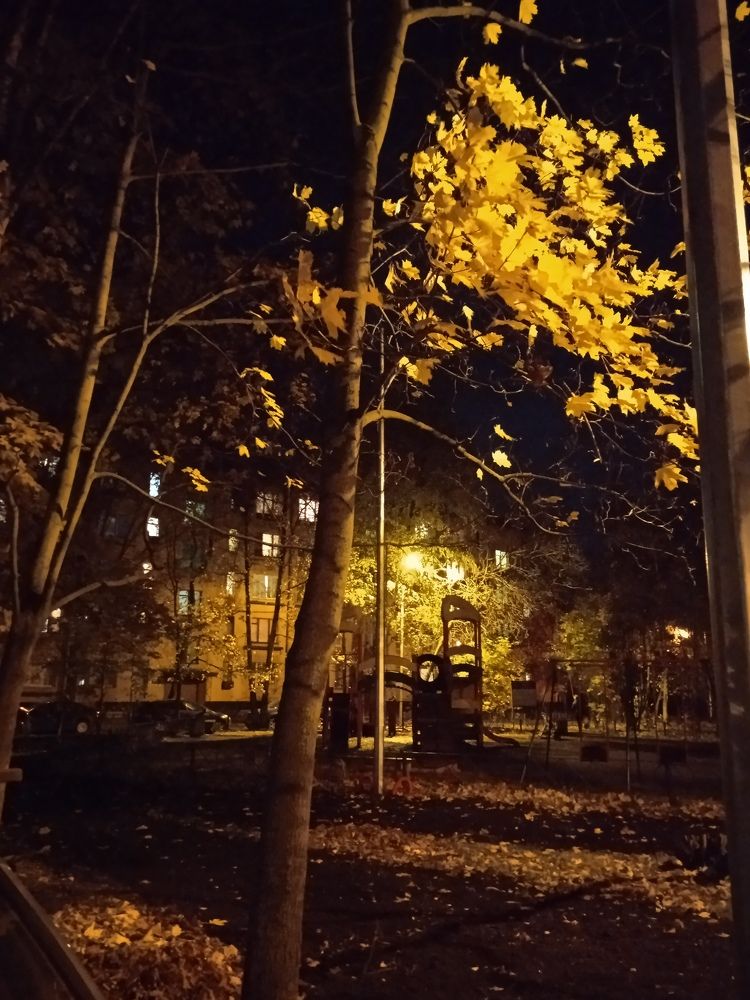 Photograph by Наталия Колемасова