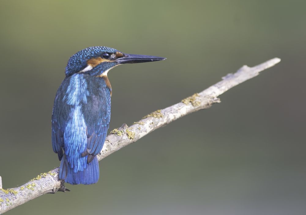 Фотография автора Mehdi EL Baqali