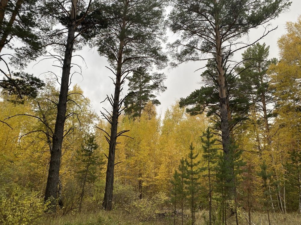 Photograph by  Меруерт