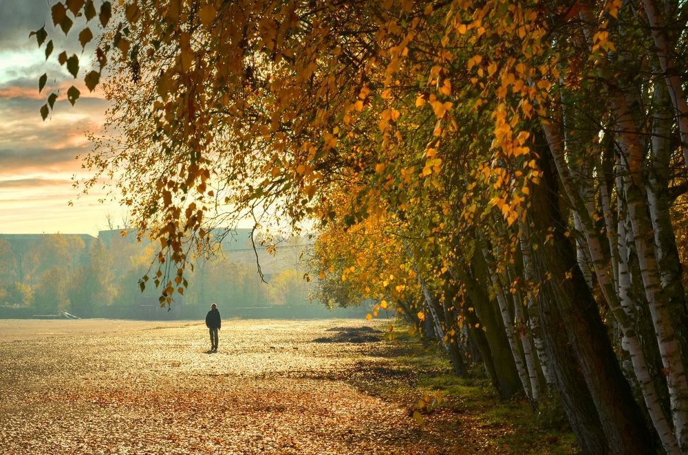 Photograph by Kveta Novotna