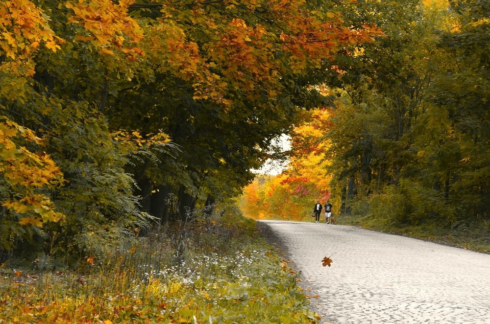 Photograph by Kveta Novotna