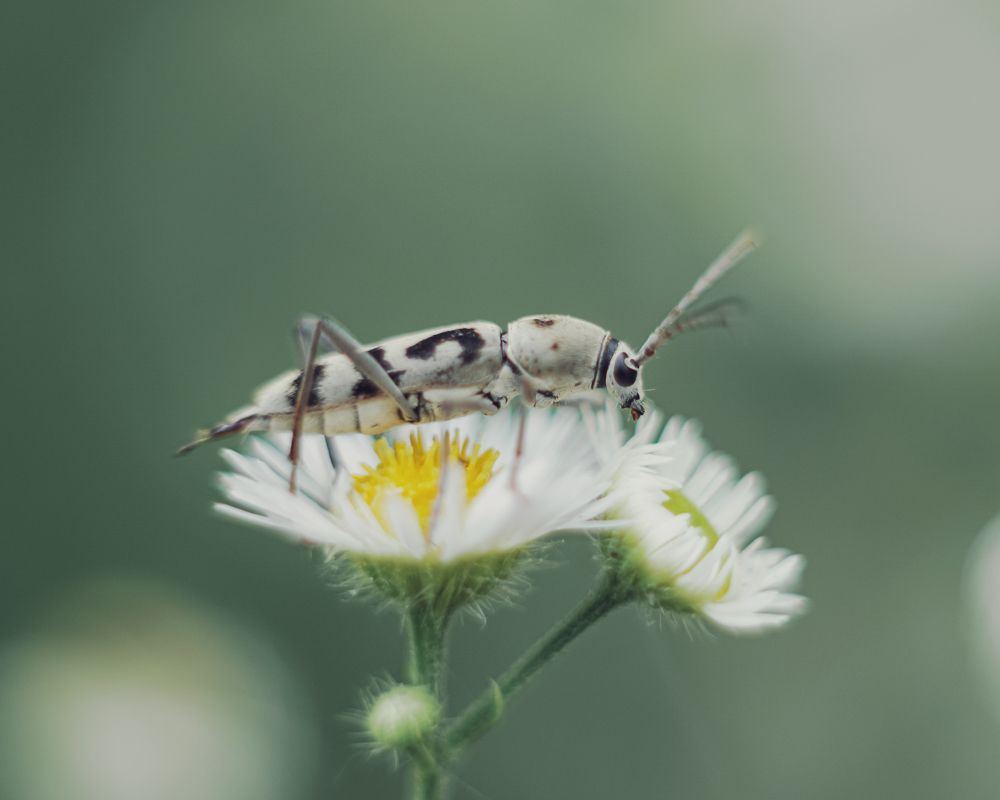 Photograph by Алеся Писнова