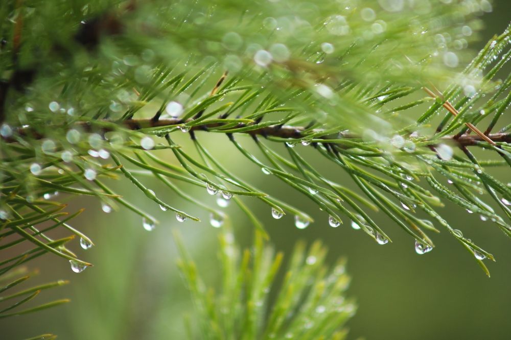 Photograph by Герасимов Эдуард