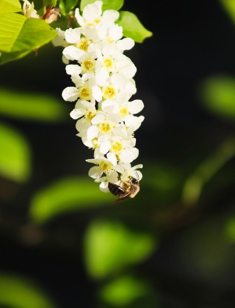 Photograph by Герасимов Эдуард