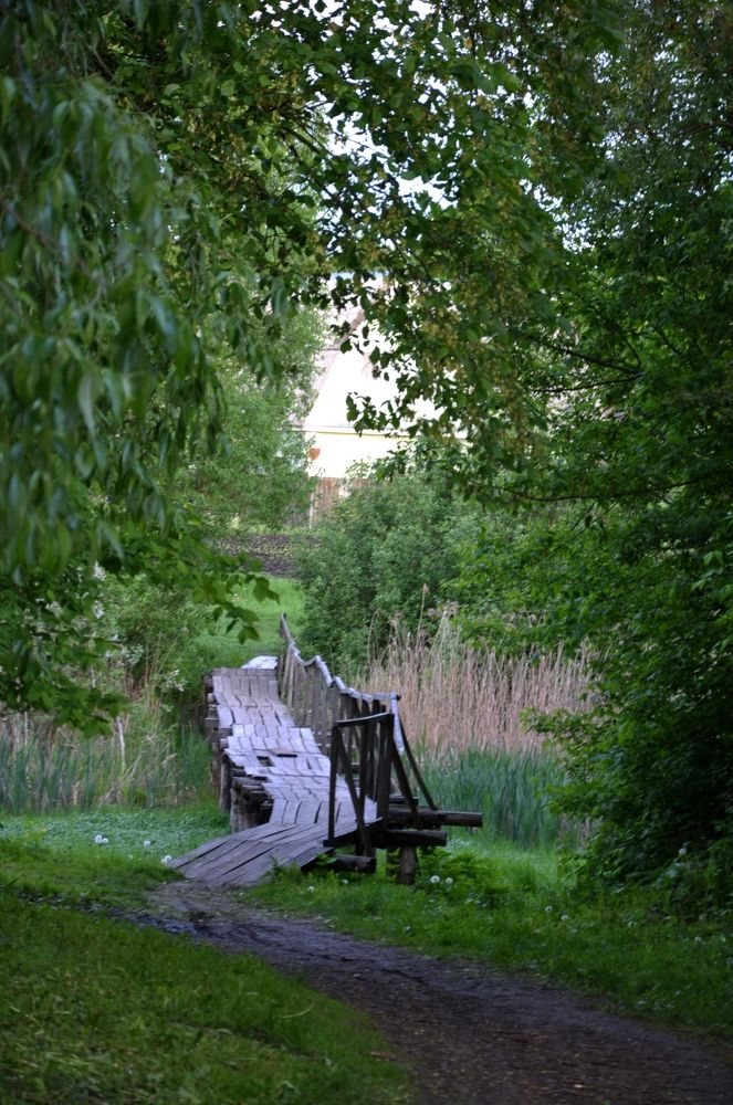 Photograph by Лысых Галина