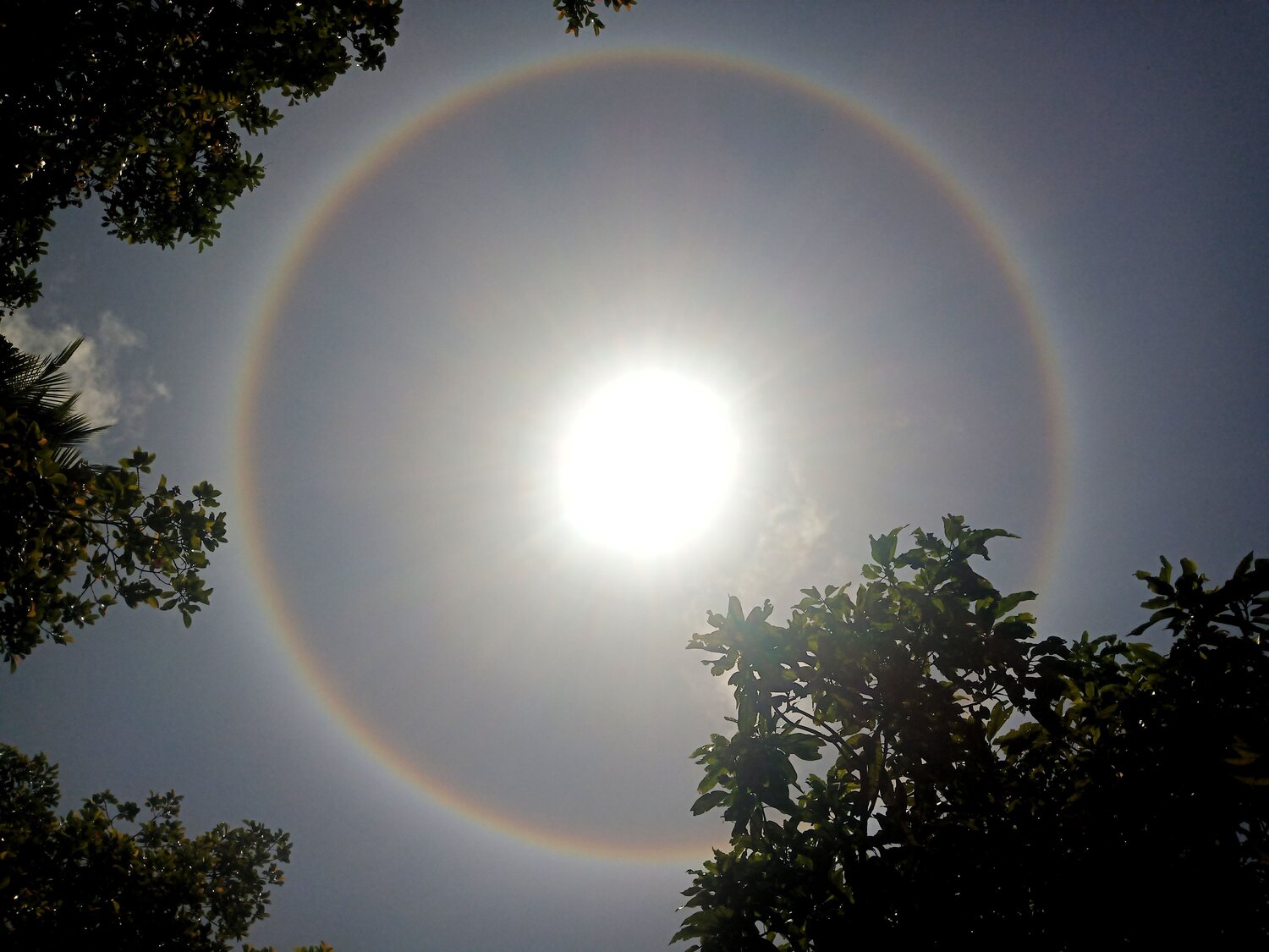 Ring of sun