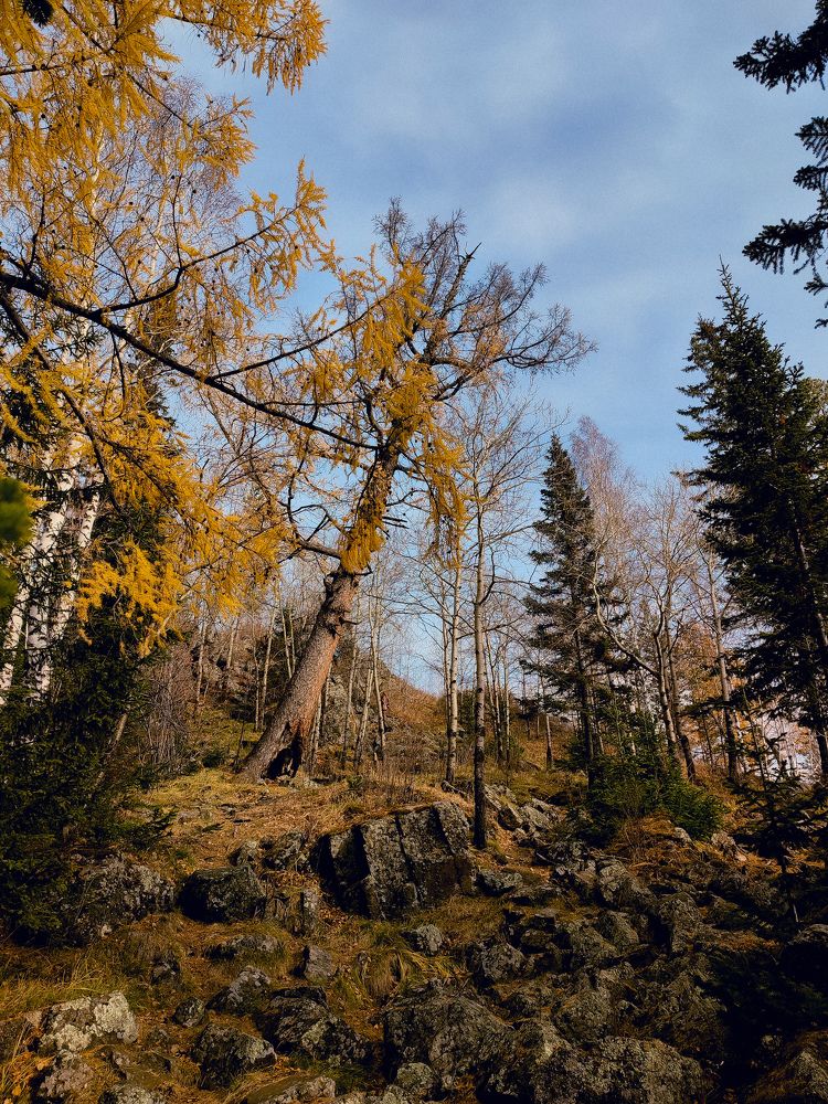 Photograph by Elena Kilina