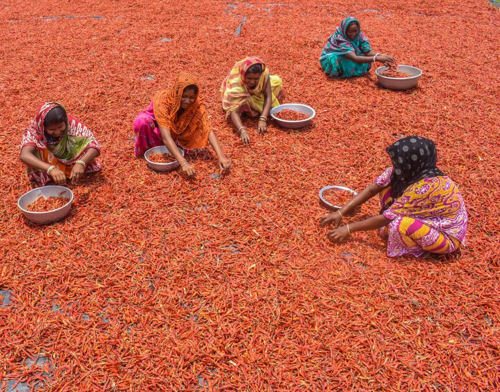 Photograph by Debanjan Das