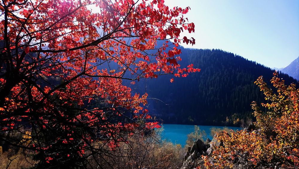 Photograph by Наталья Баранова