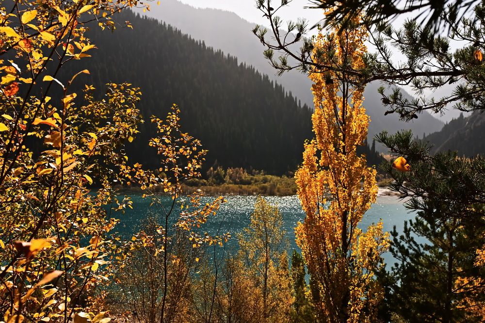 Photograph by Наталья Баранова