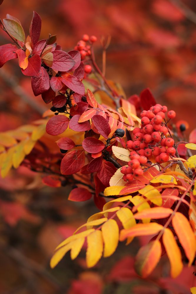 Photograph by Ирина Зиннурова