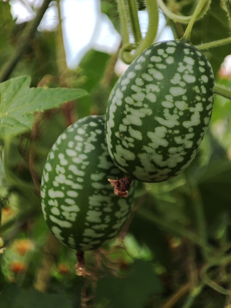 Photograph by Ольга Сучкова