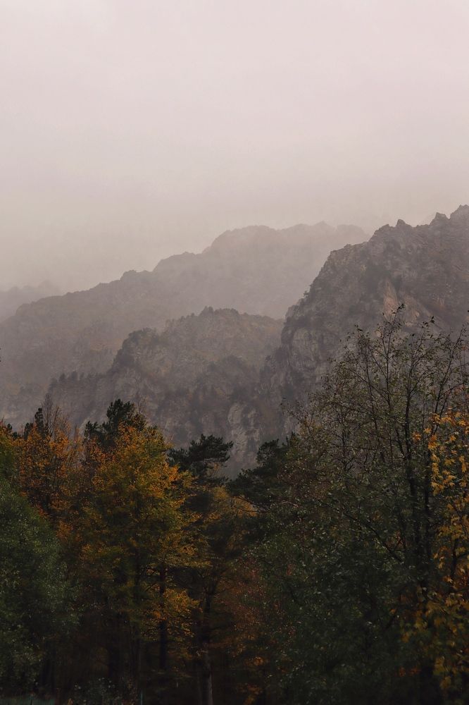 Photograph by Людмила Евстратова