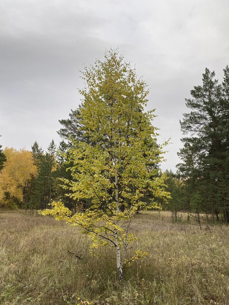 Photograph by Меруерт