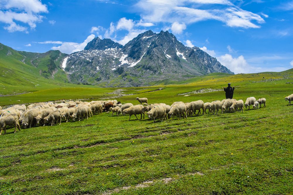 Photograph by Debanjan Das