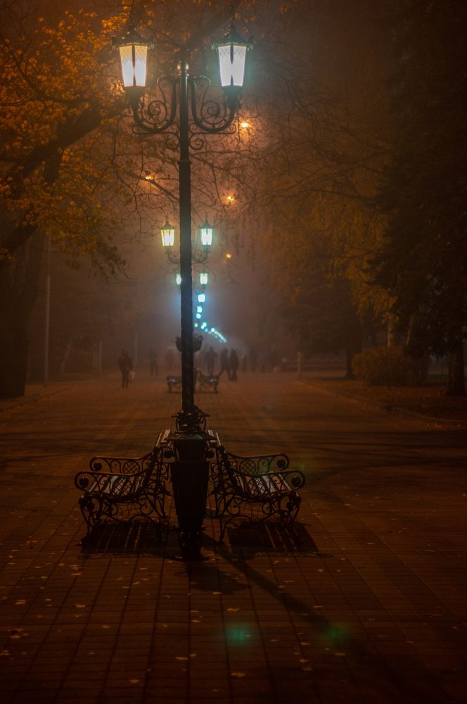 Photograph by 