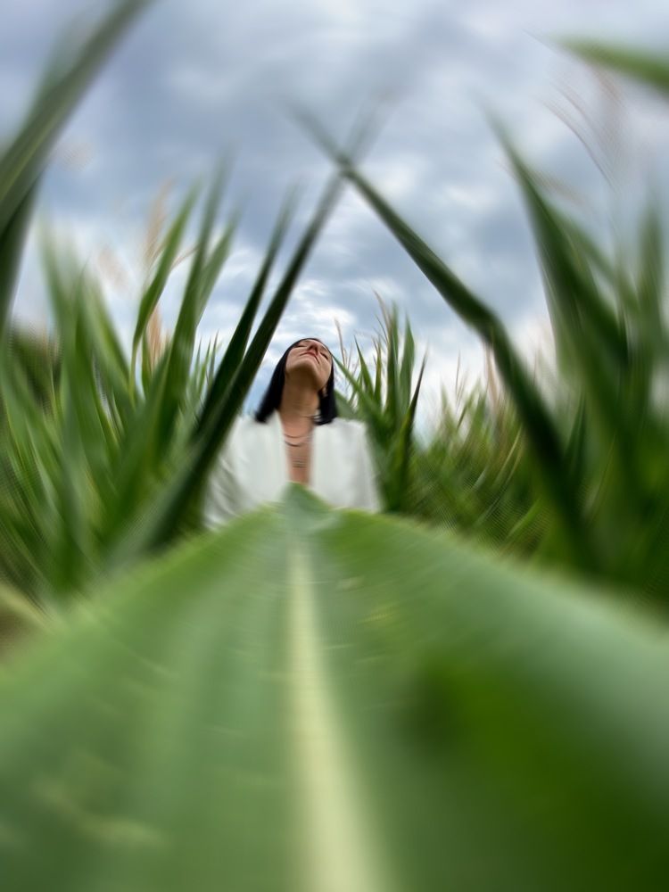 Photograph by Лена Виговская