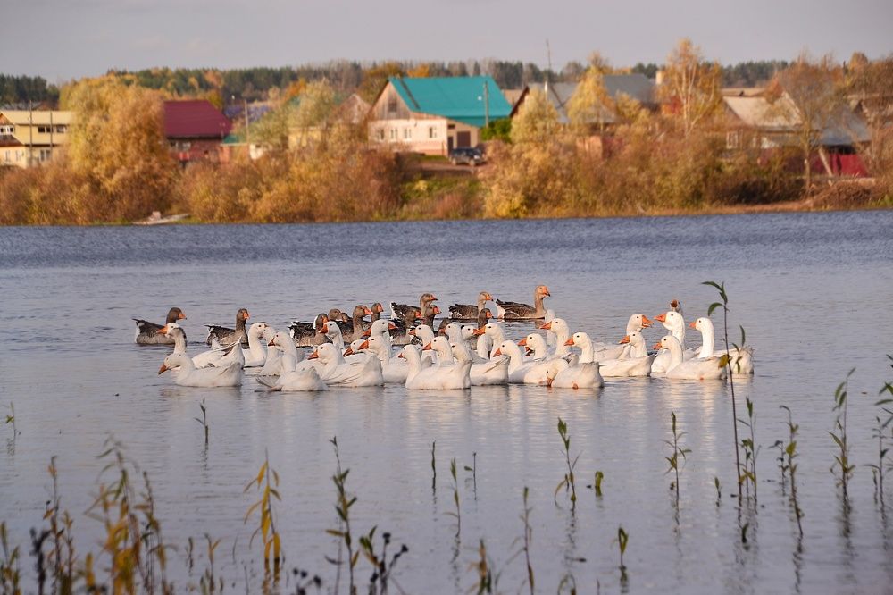 Photograph by Ксения Широбокова