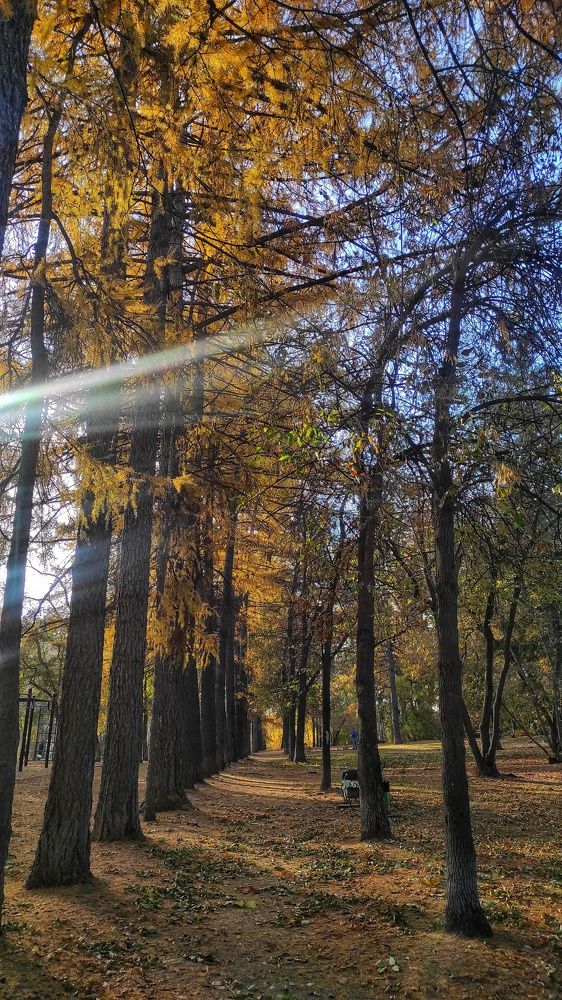 Photograph by Наталья Рау